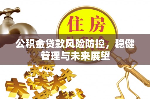 莆田公积金贷款风险防控，稳健管理与未来展望