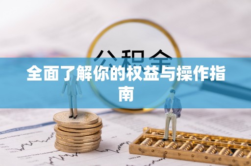 莆田全面了解你的权益与操作指南
