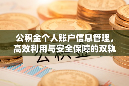 莆田公积金个人账户信息管理，高效利用与安全保障的双轨并行