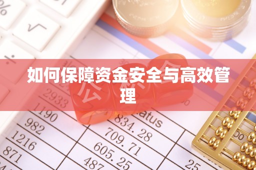 莆田如何保障资金安全与高效管理