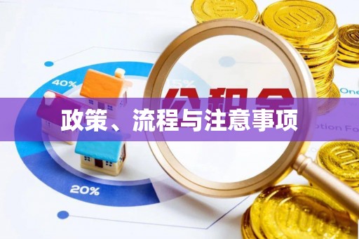 莆田政策、流程与注意事项