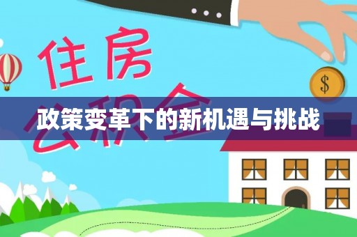 莆田政策变革下的新机遇与挑战