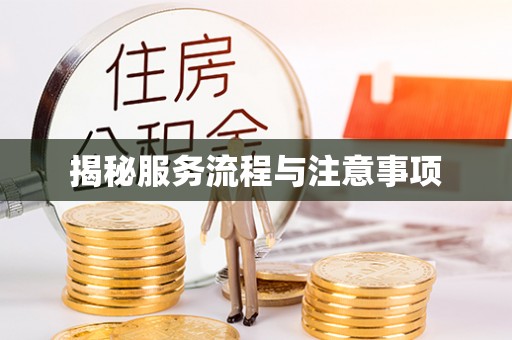 莆田揭秘服务流程与注意事项