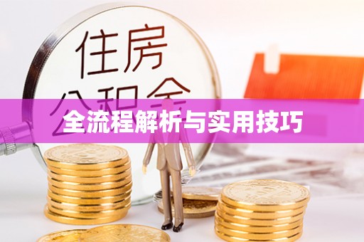 莆田全流程解析与实用技巧