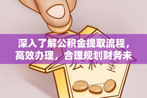 莆田深入了解公积金提取流程，高效办理，合理规划财务未来