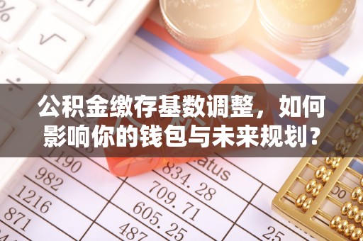 莆田公积金缴存基数调整，如何影响你的钱包与未来规划？