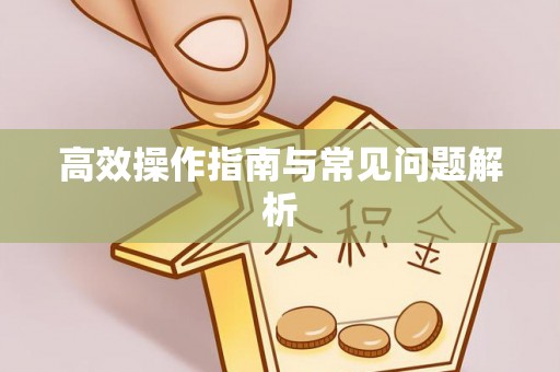 莆田高效操作指南与常见问题解析