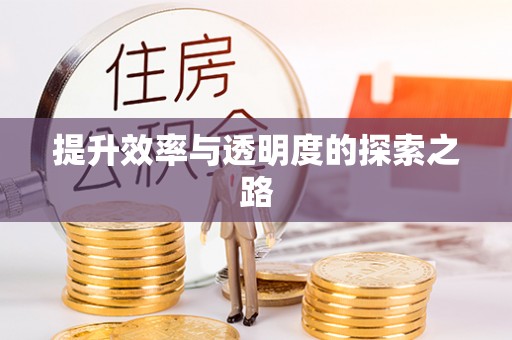 莆田提升效率与透明度的探索之路
