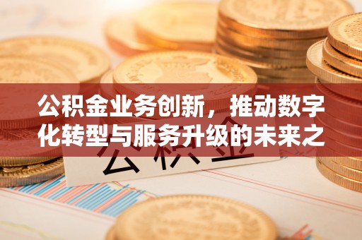 莆田公积金业务创新，推动数字化转型与服务升级的未来之路