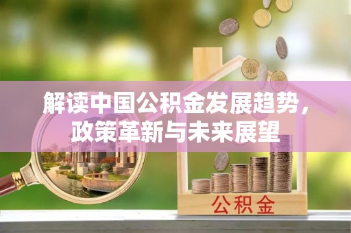 莆田解读中国公积金发展趋势，政策革新与未来展望