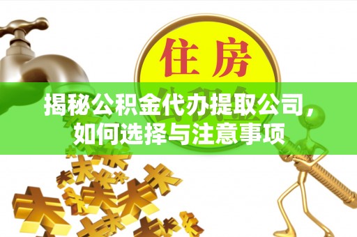 莆田揭秘公积金代办提取公司，如何选择与注意事项