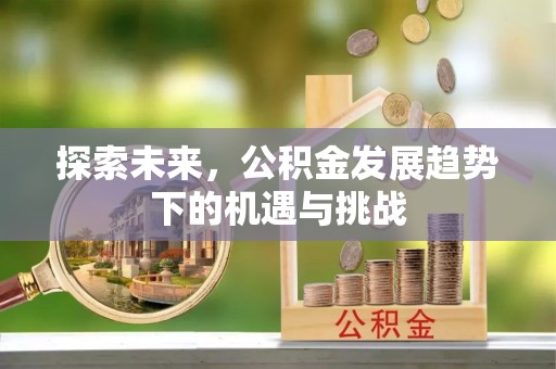 莆田探索未来，公积金发展趋势下的机遇与挑战
