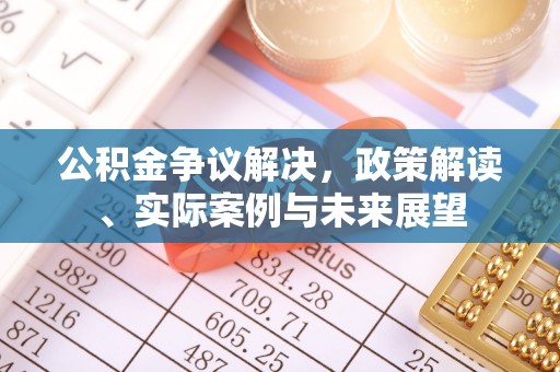 莆田公积金争议解决，政策解读、实际案例与未来展望