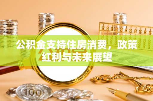 莆田公积金支持住房消费，政策红利与未来展望