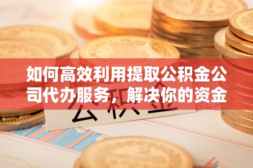 莆田如何高效利用提取公积金公司代办服务，解决你的资金难题