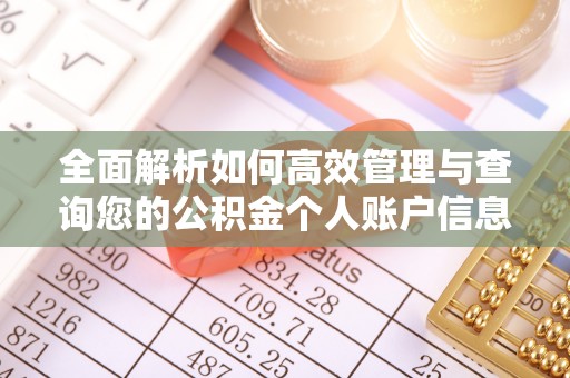 莆田全面解析如何高效管理与查询您的公积金个人账户信息
