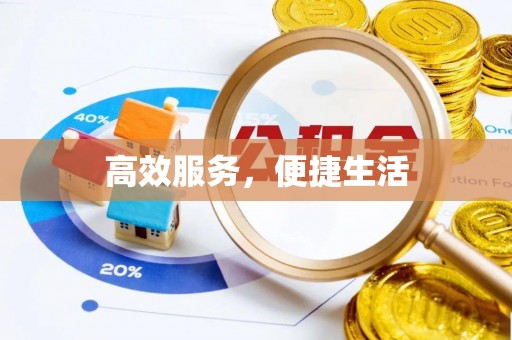 莆田高效服务，便捷生活