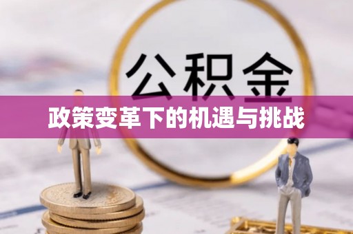 莆田政策变革下的机遇与挑战