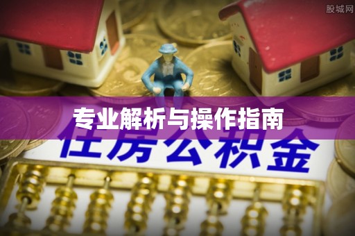 莆田专业解析与操作指南