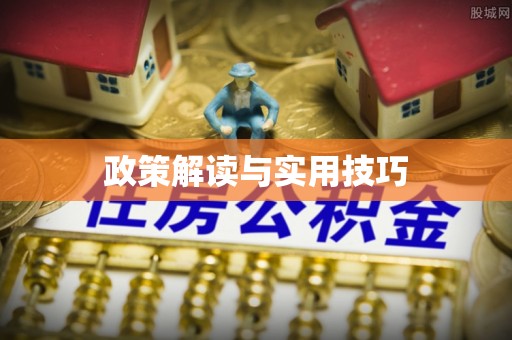 莆田政策解读与实用技巧