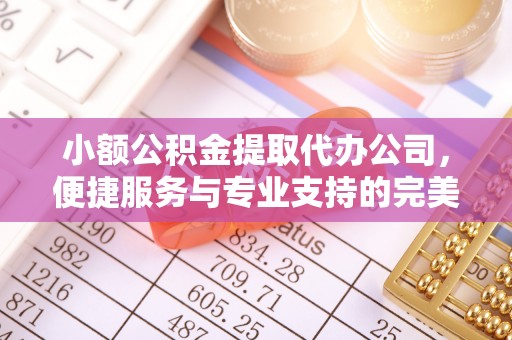 莆田小额公积金提取代办公司，便捷服务与专业支持的完美结合