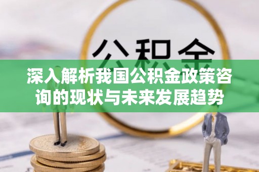 莆田深入解析我国公积金政策咨询的现状与未来发展趋势