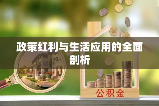 莆田政策红利与生活应用的全面剖析