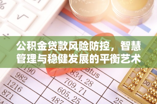 莆田公积金贷款风险防控，智慧管理与稳健发展的平衡艺术