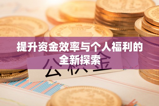 莆田提升资金效率与个人福利的全新探索