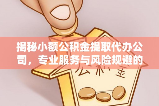 莆田揭秘小额公积金提取代办公司，专业服务与风险规避的平衡艺术