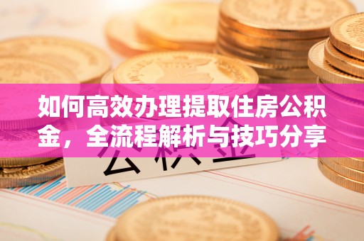 莆田如何高效办理提取住房公积金，全流程解析与技巧分享
