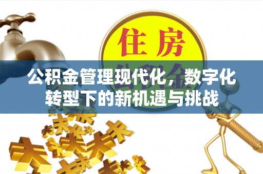 莆田公积金管理现代化，数字化转型下的新机遇与挑战