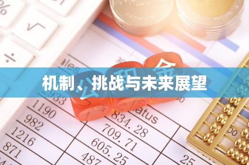 莆田机制、挑战与未来展望