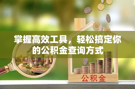 莆田掌握高效工具，轻松搞定你的公积金查询方式
